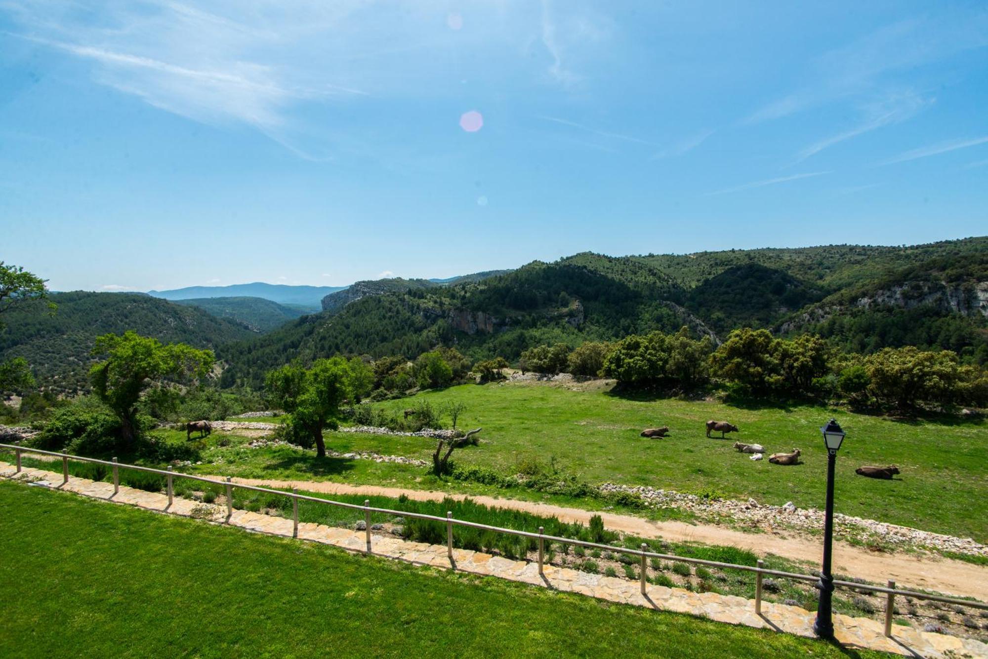Maison d'hôtes Font D'En Torres Solo Adultos à Morella Extérieur photo